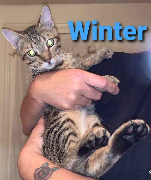 Winter