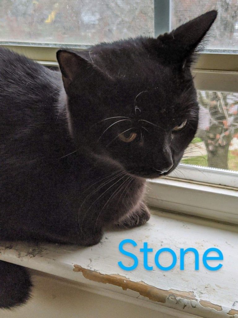 Stone Stone2 768x1024