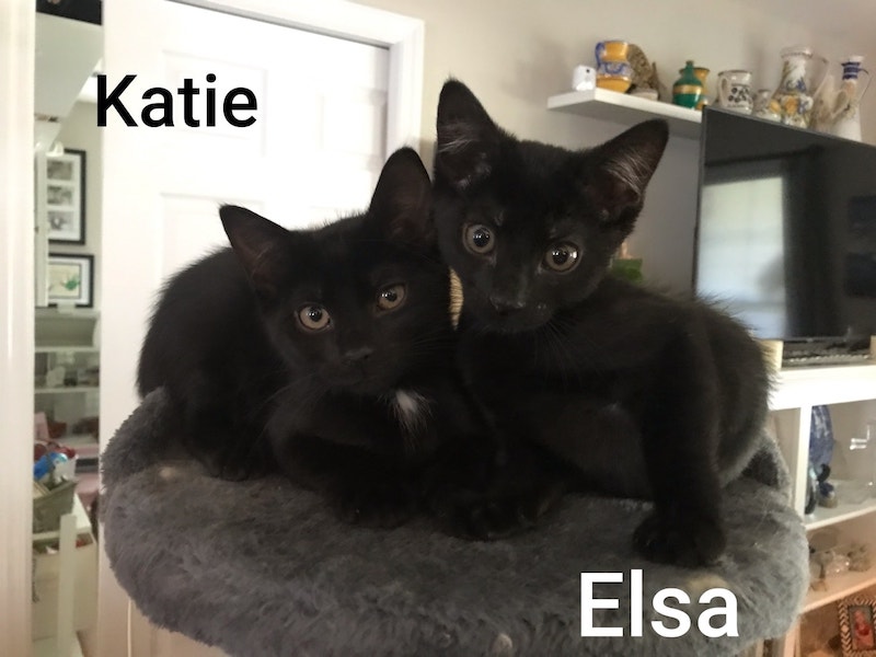 Elsa and Katie