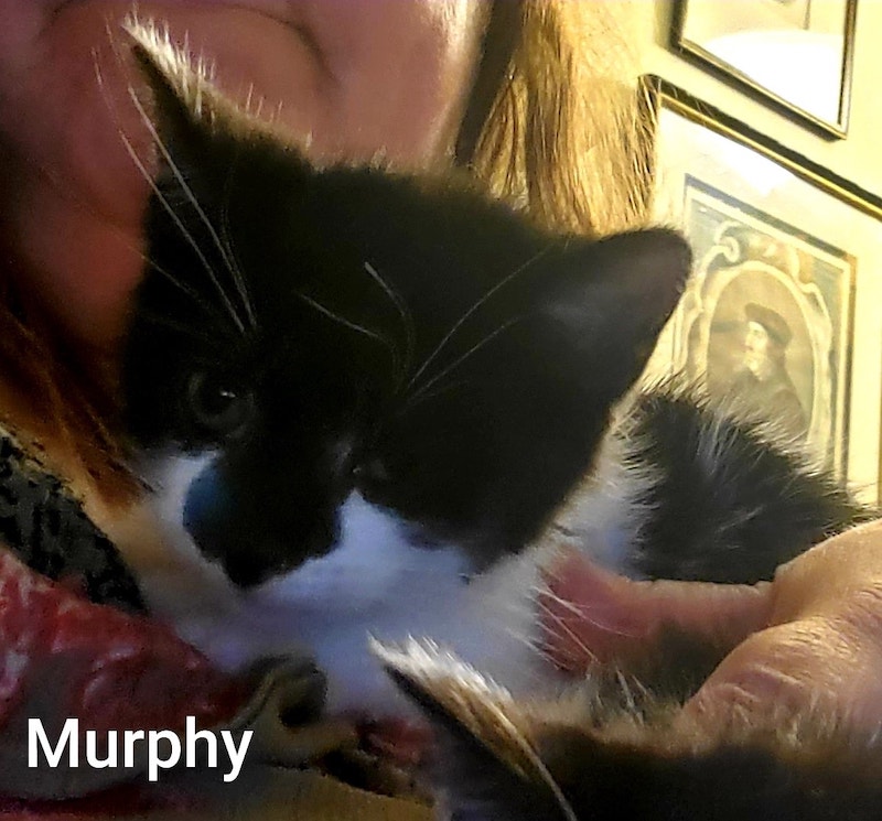 Murphy