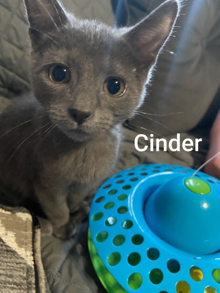 Cinder 768x1024