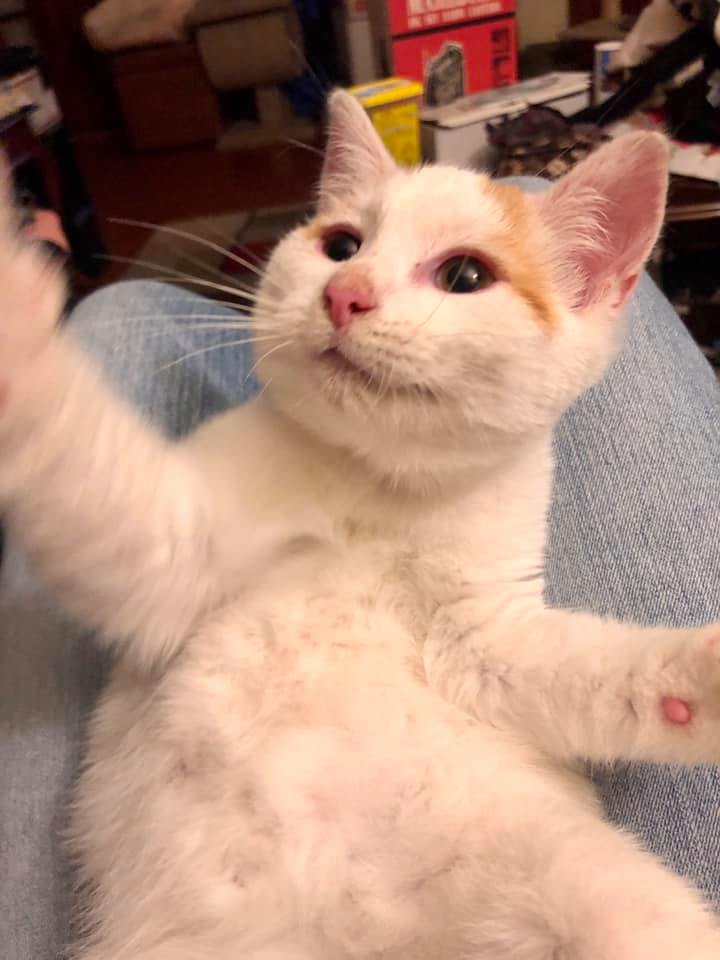 Antonio