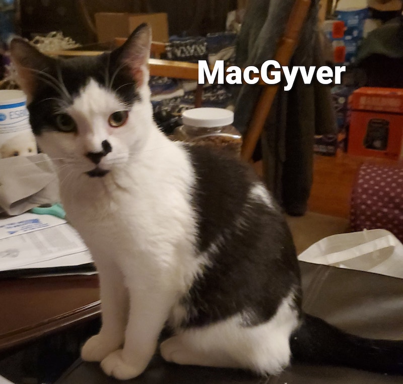 MacGyver