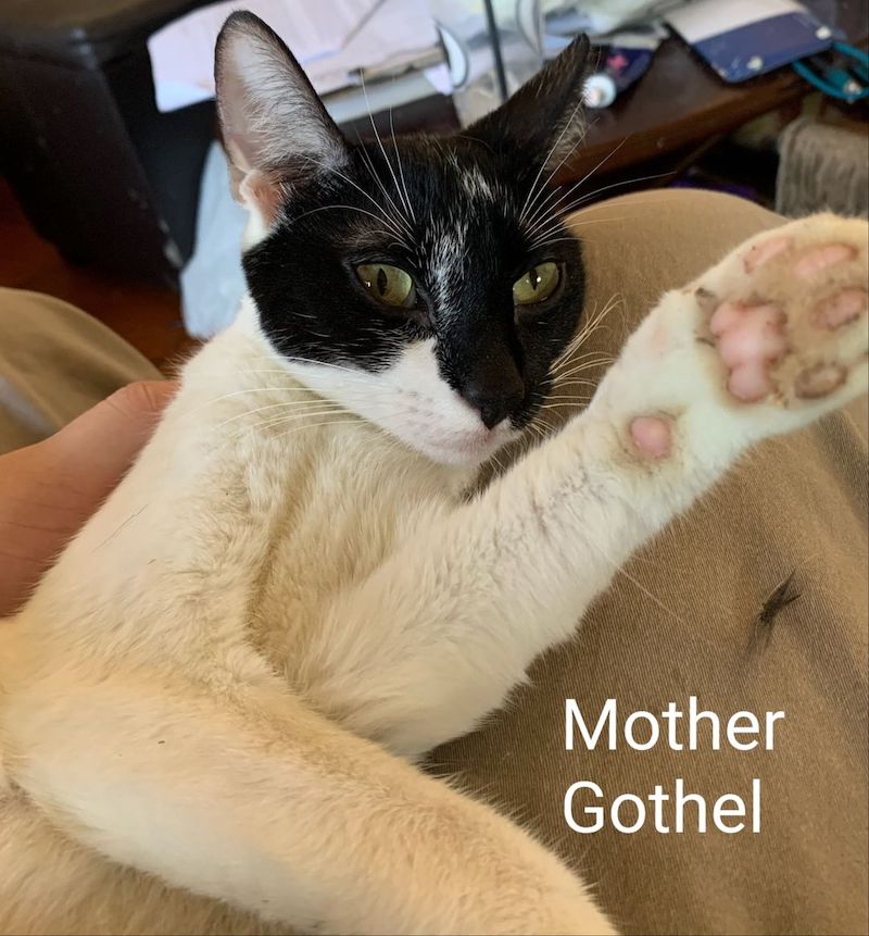 Mother Gothel