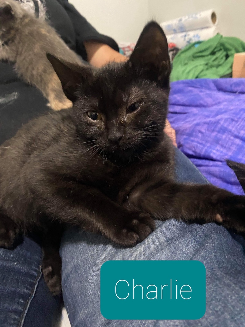 Charlie