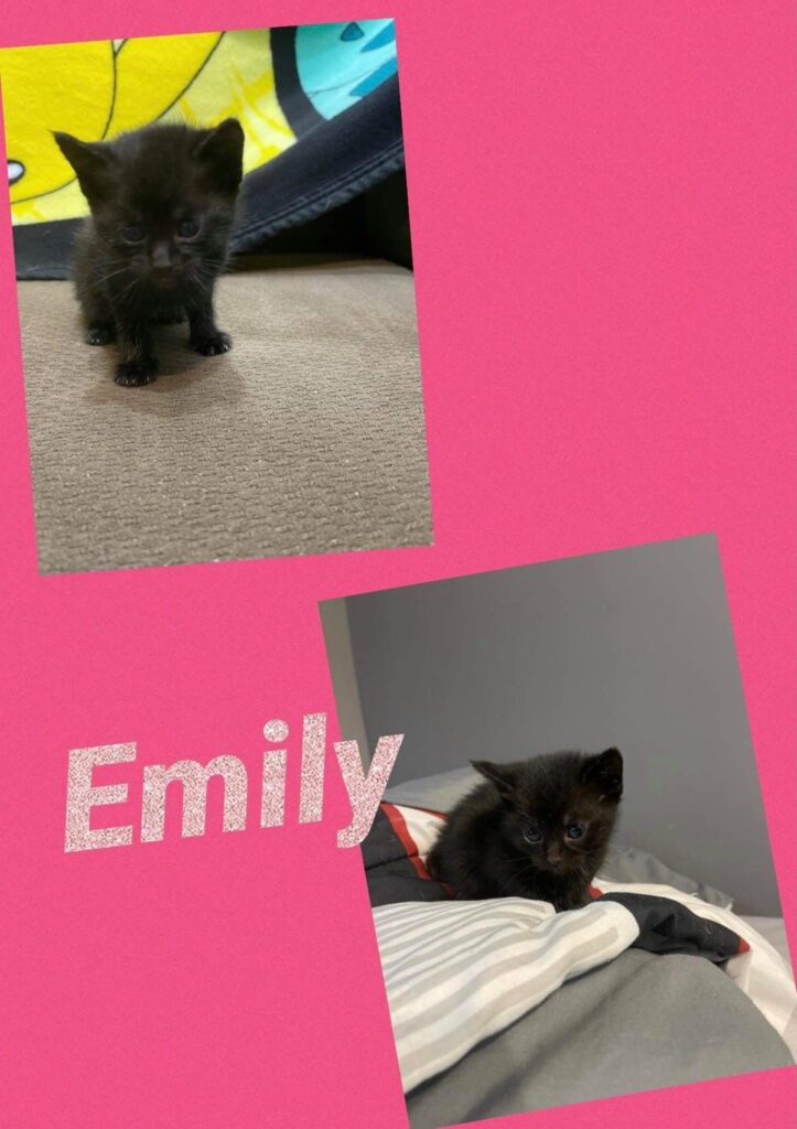 Emily 723x1024