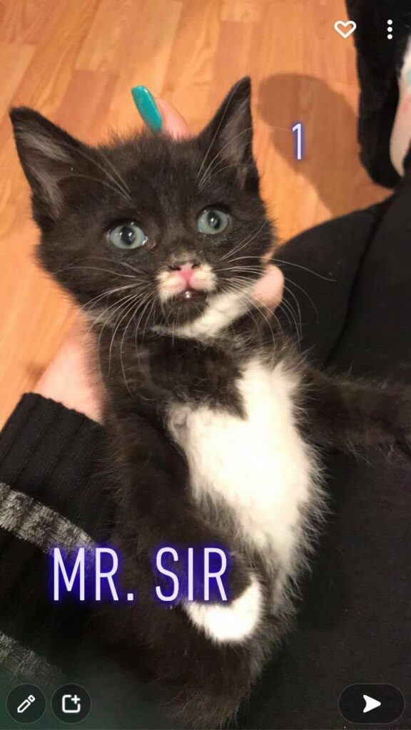 Mr Sir 576x1024