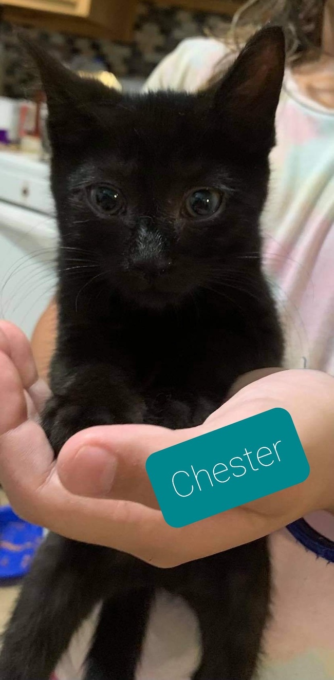 Chester