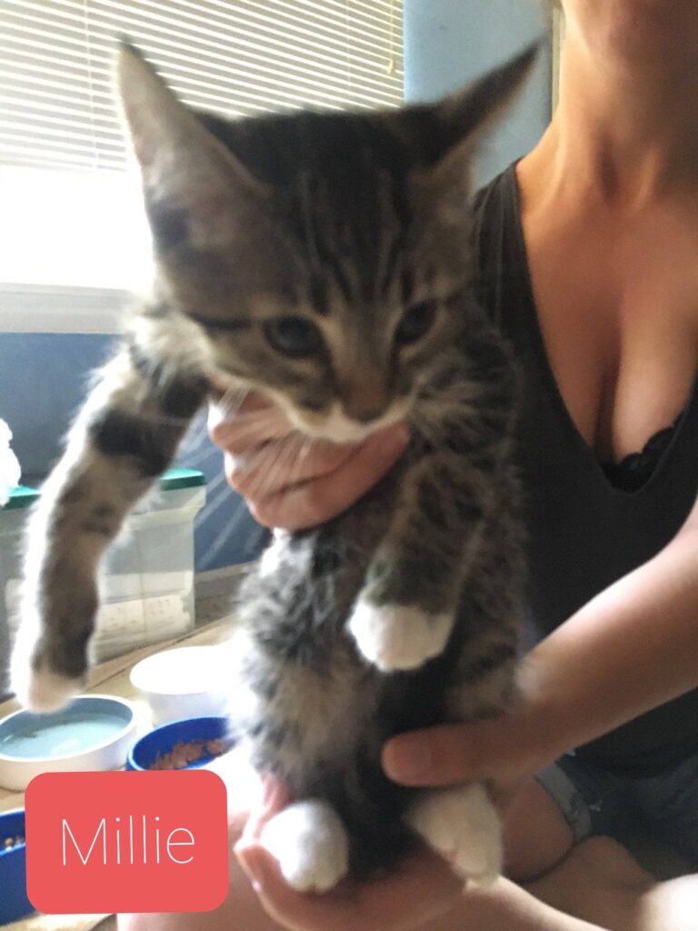 Millie Millie 768x1024