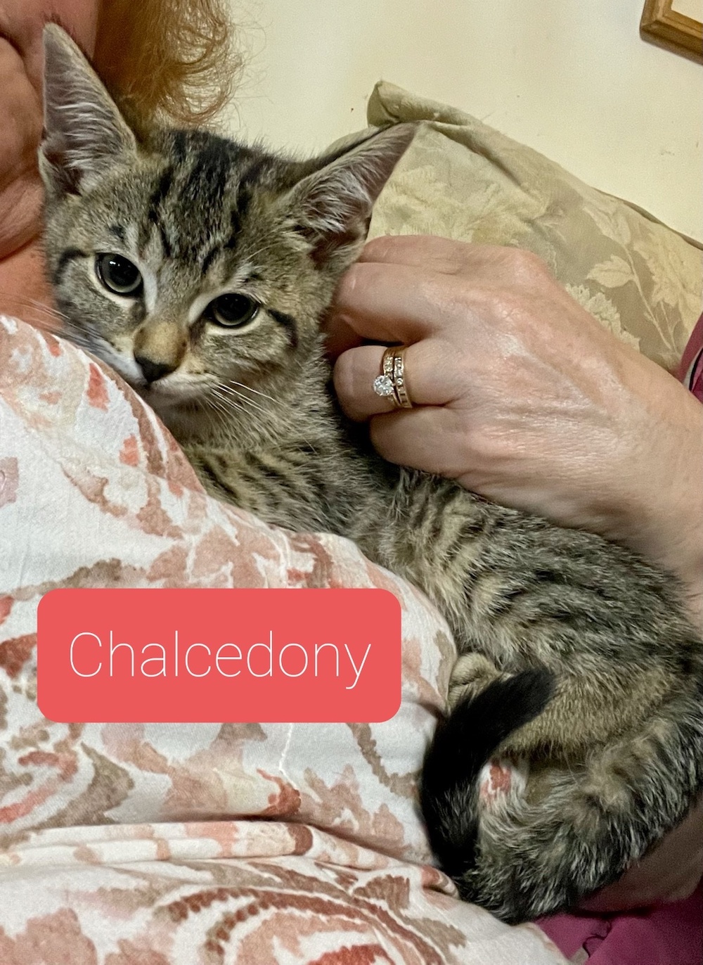 Chalcedony
