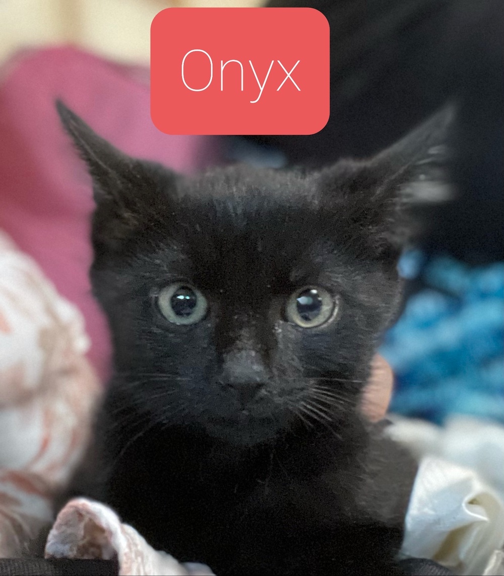 Onyx