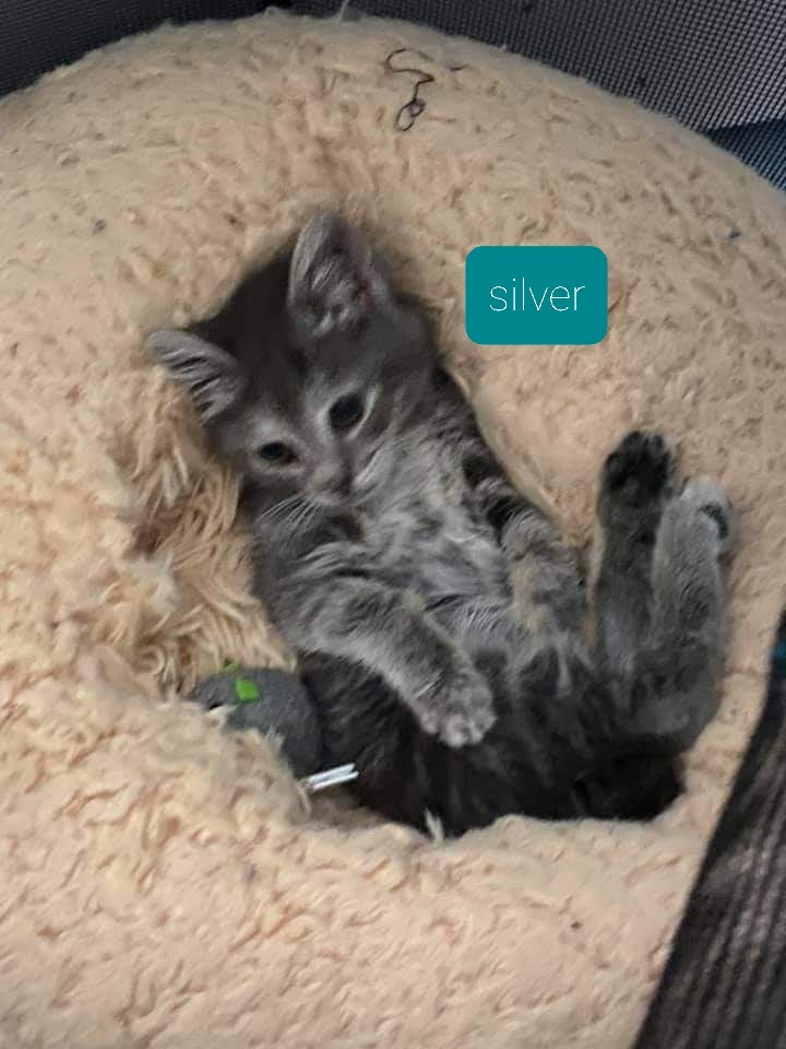 Silver