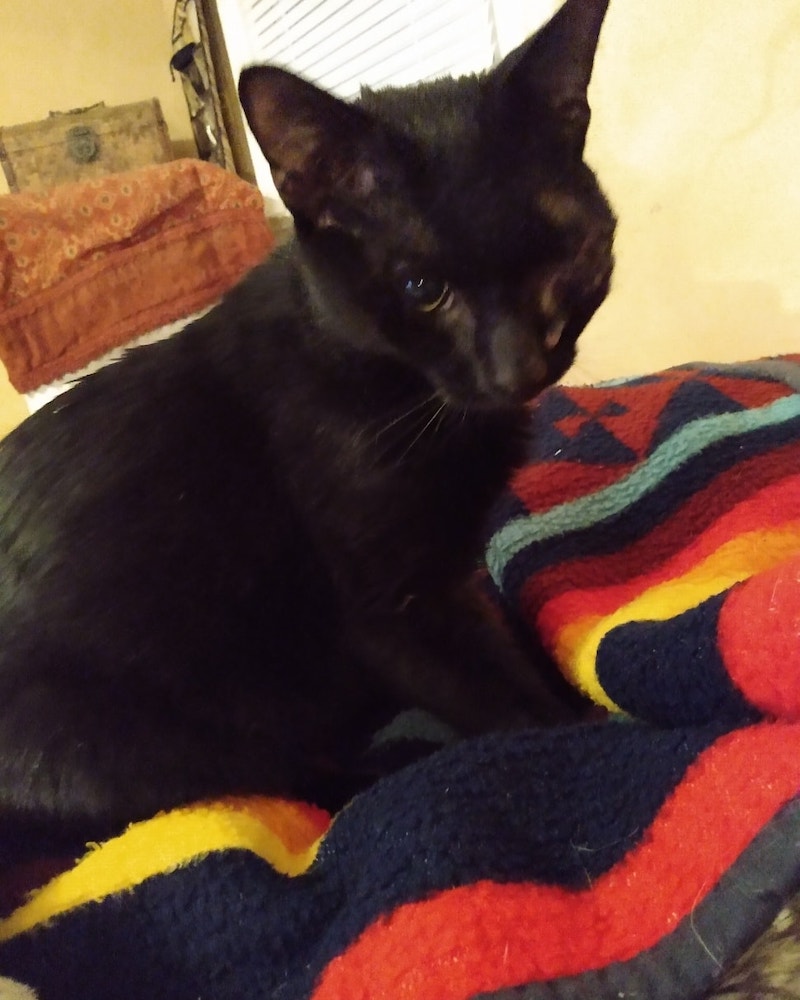 One Eye Jack
