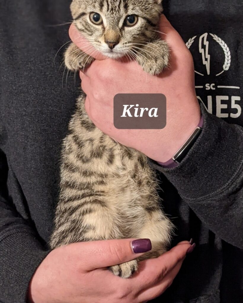Kira 820x1024