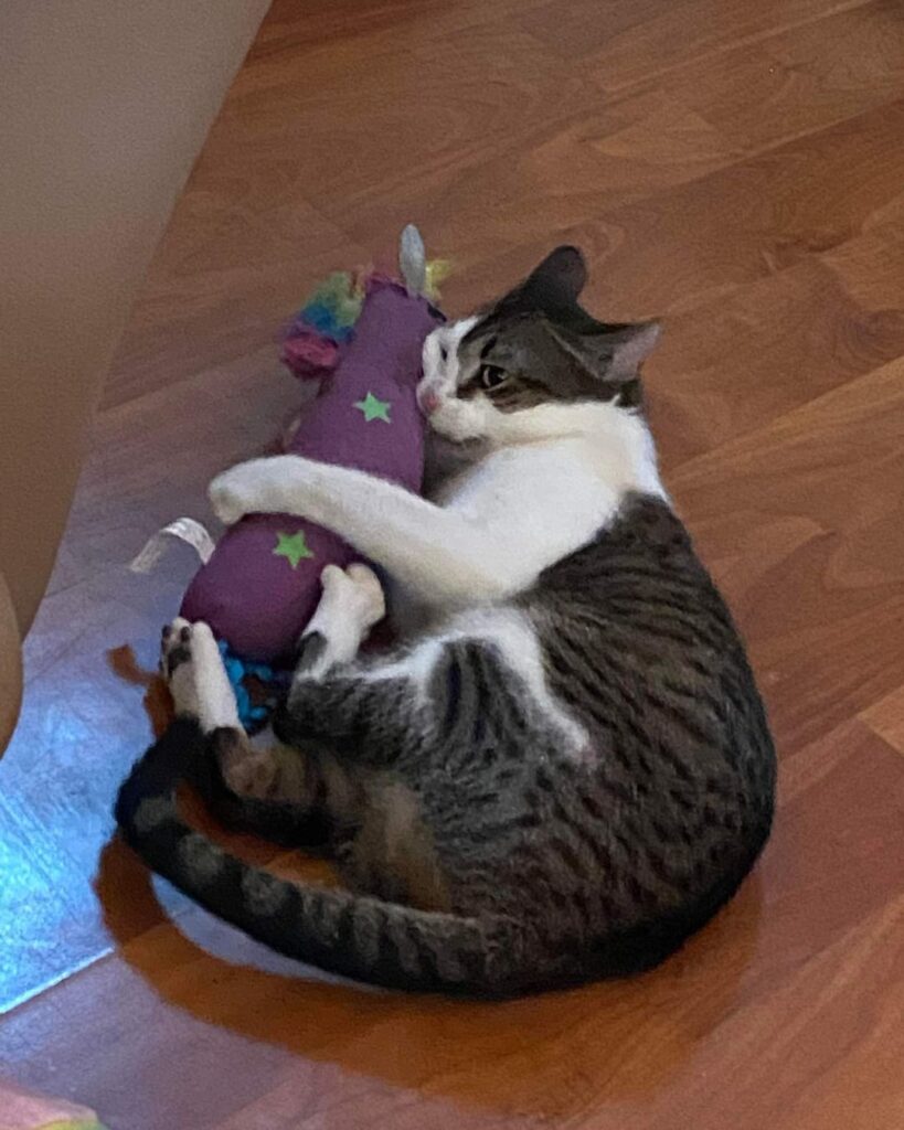 Momma Violet 819x1024