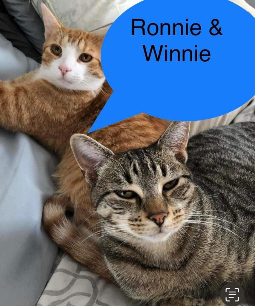 Ronnie and Winnie Ronnie Winnie 854x1024