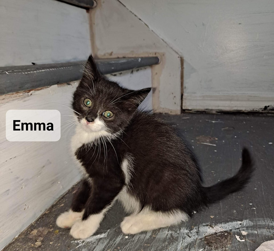 Emma