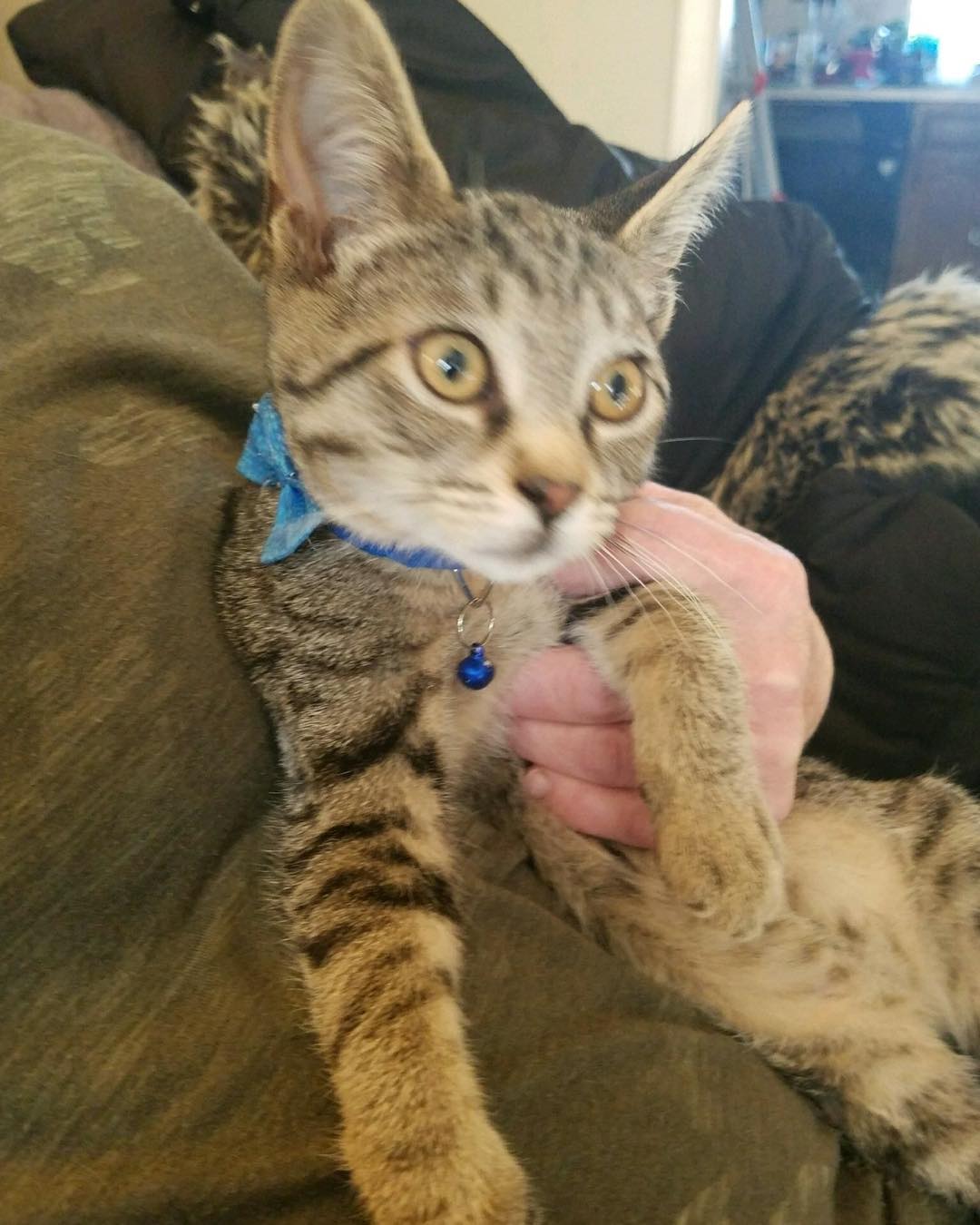 Jeffrey