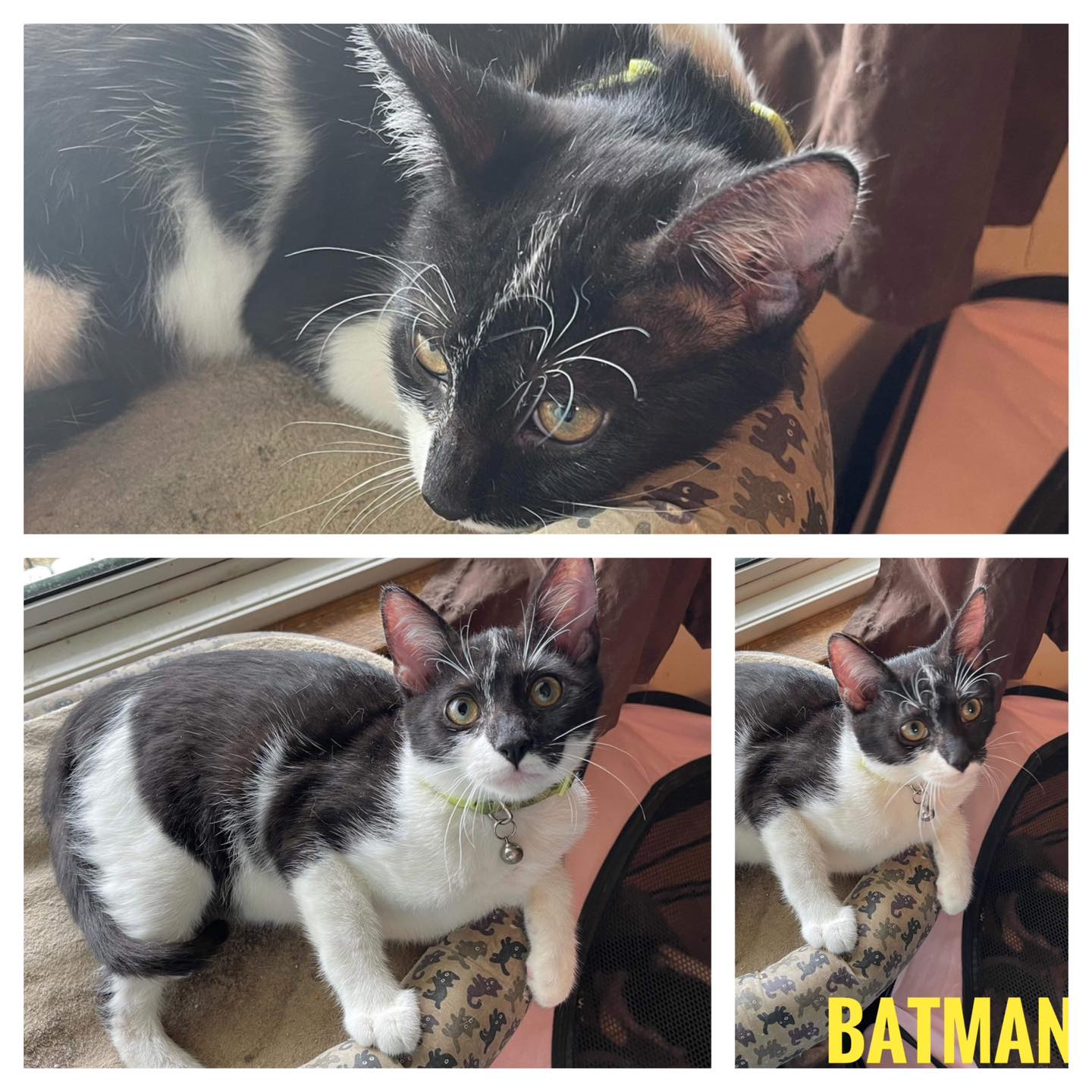 Batman