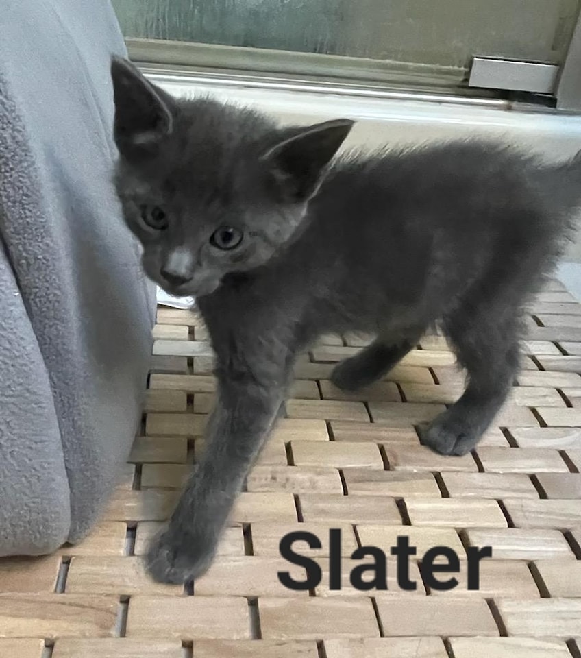 Slater
