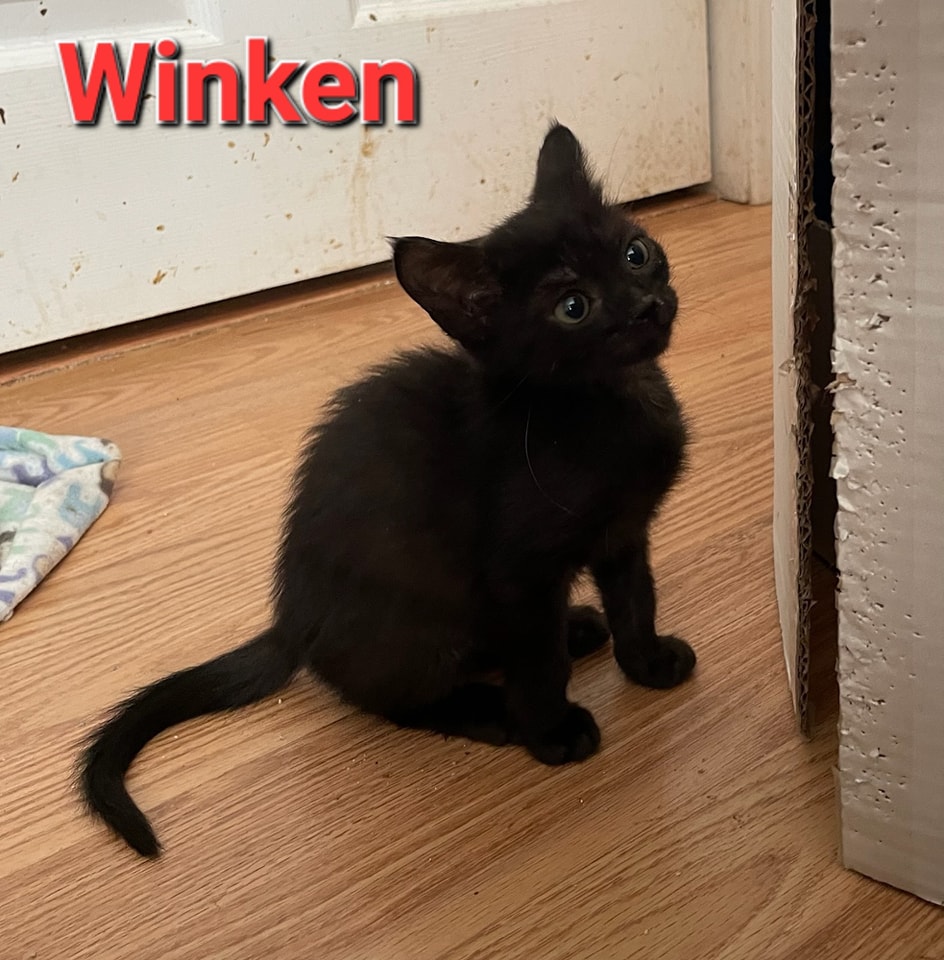 Winken