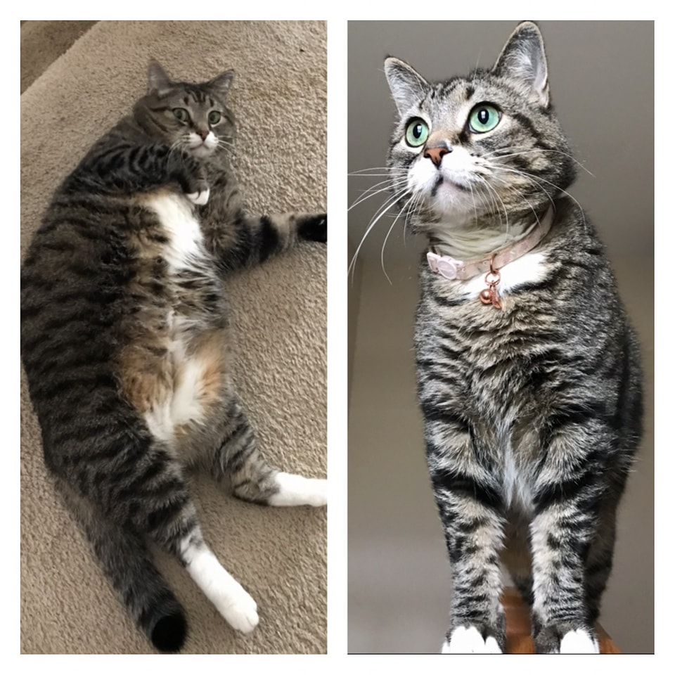 Bindi and Beatrice