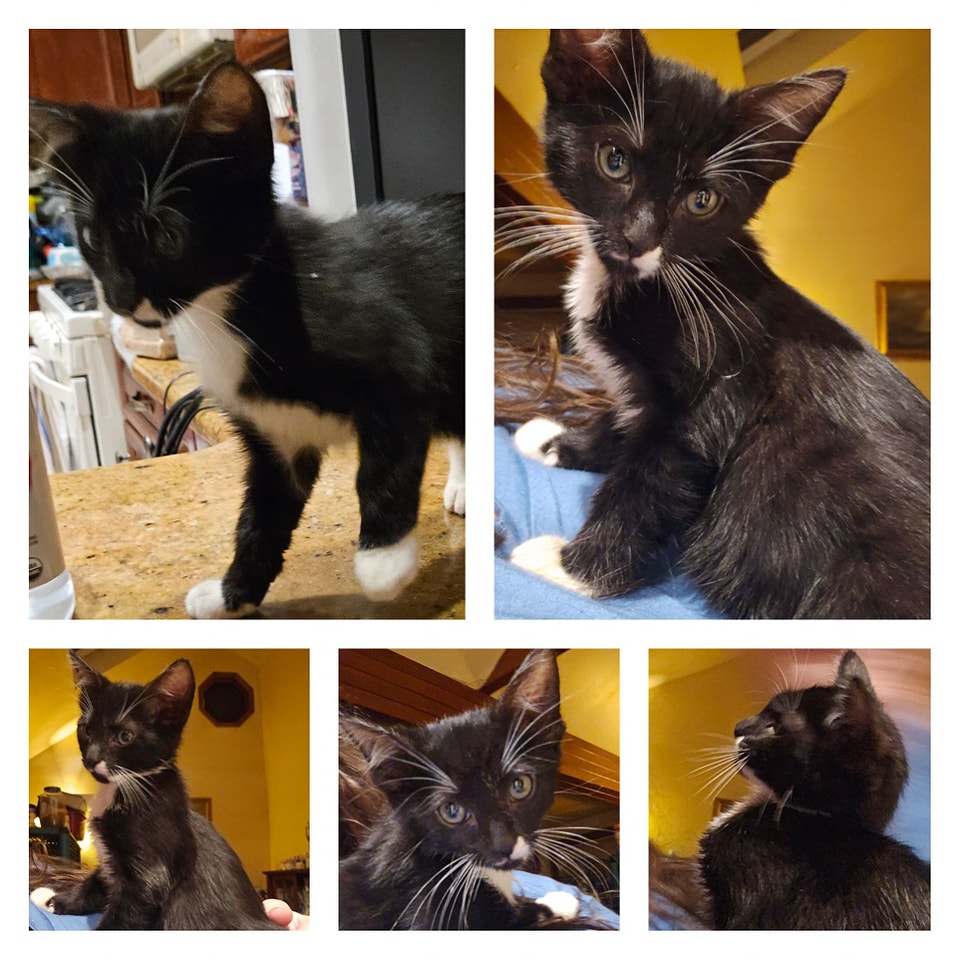 Nacho