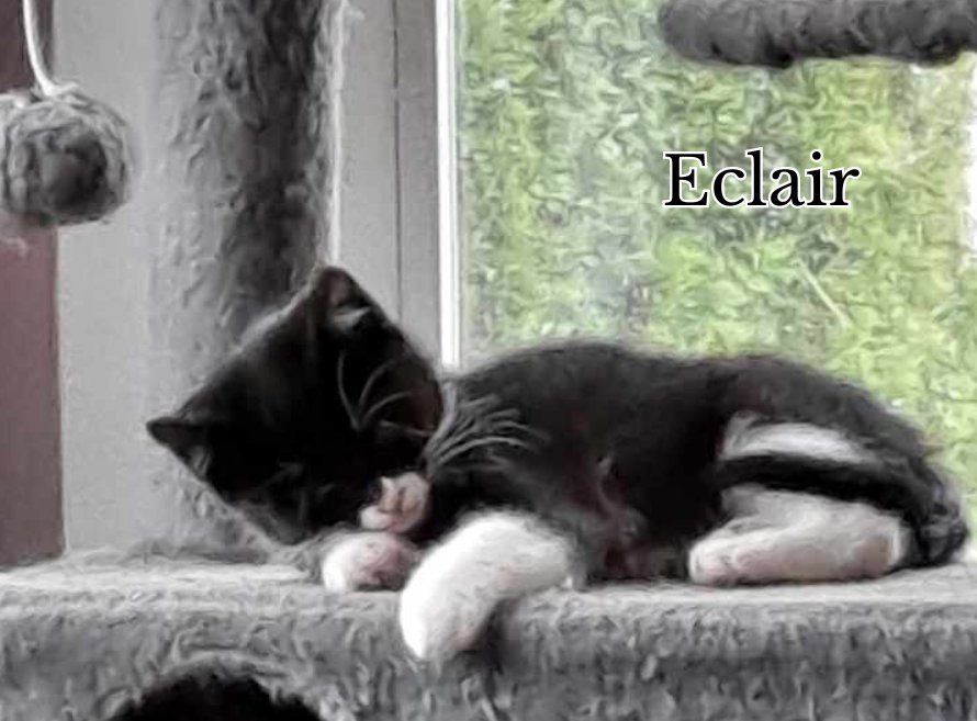Eclair