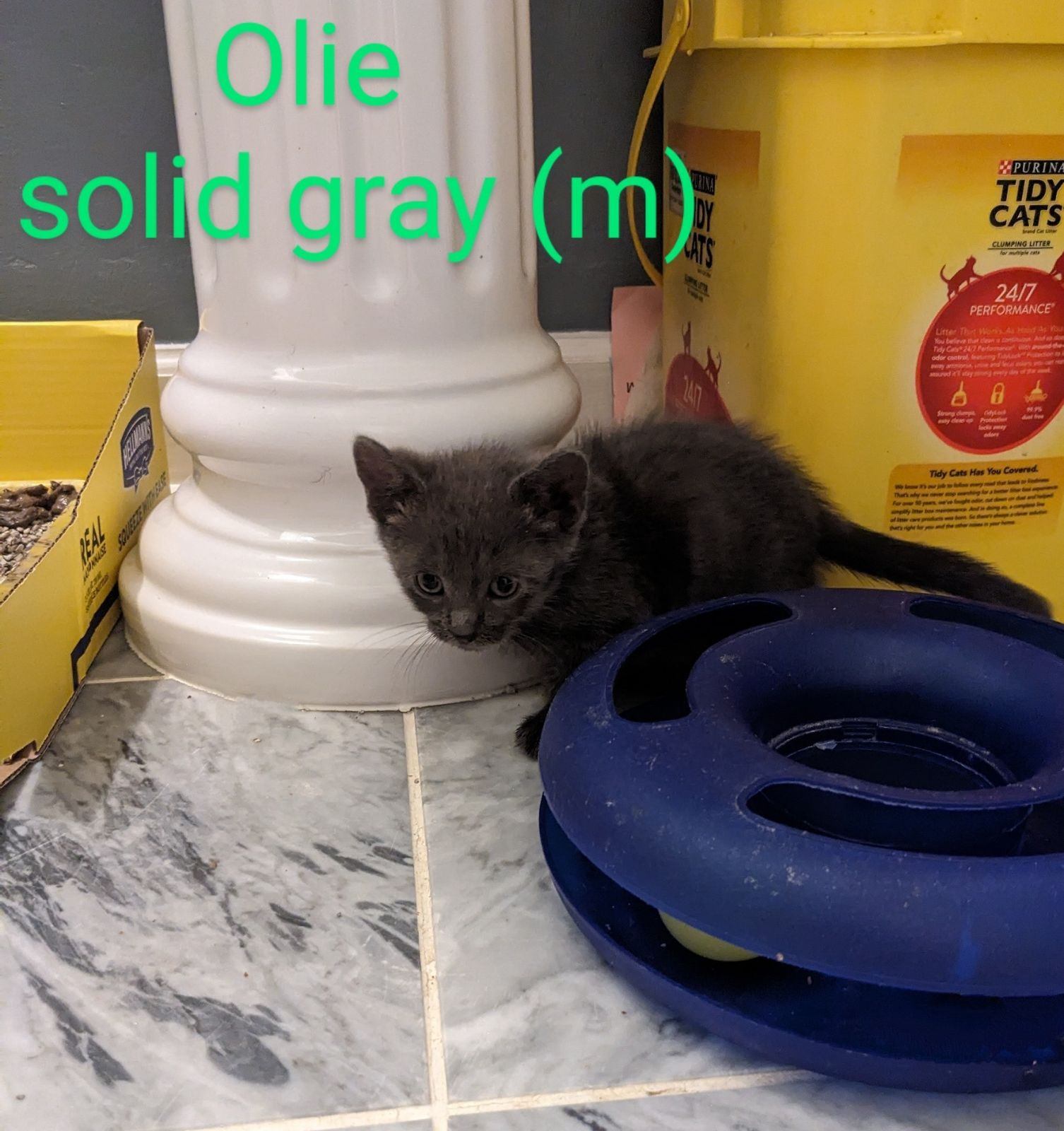 Olie