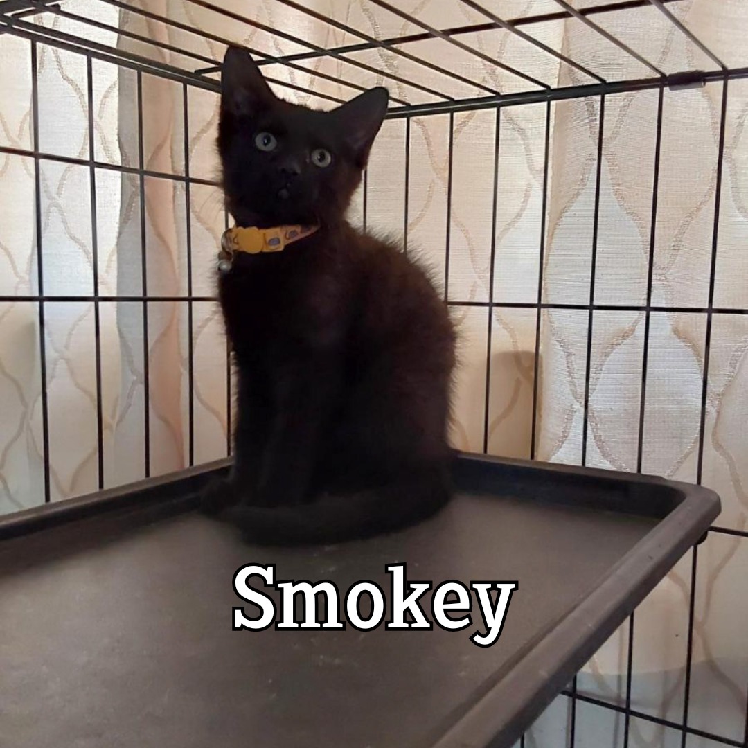 Smokey
