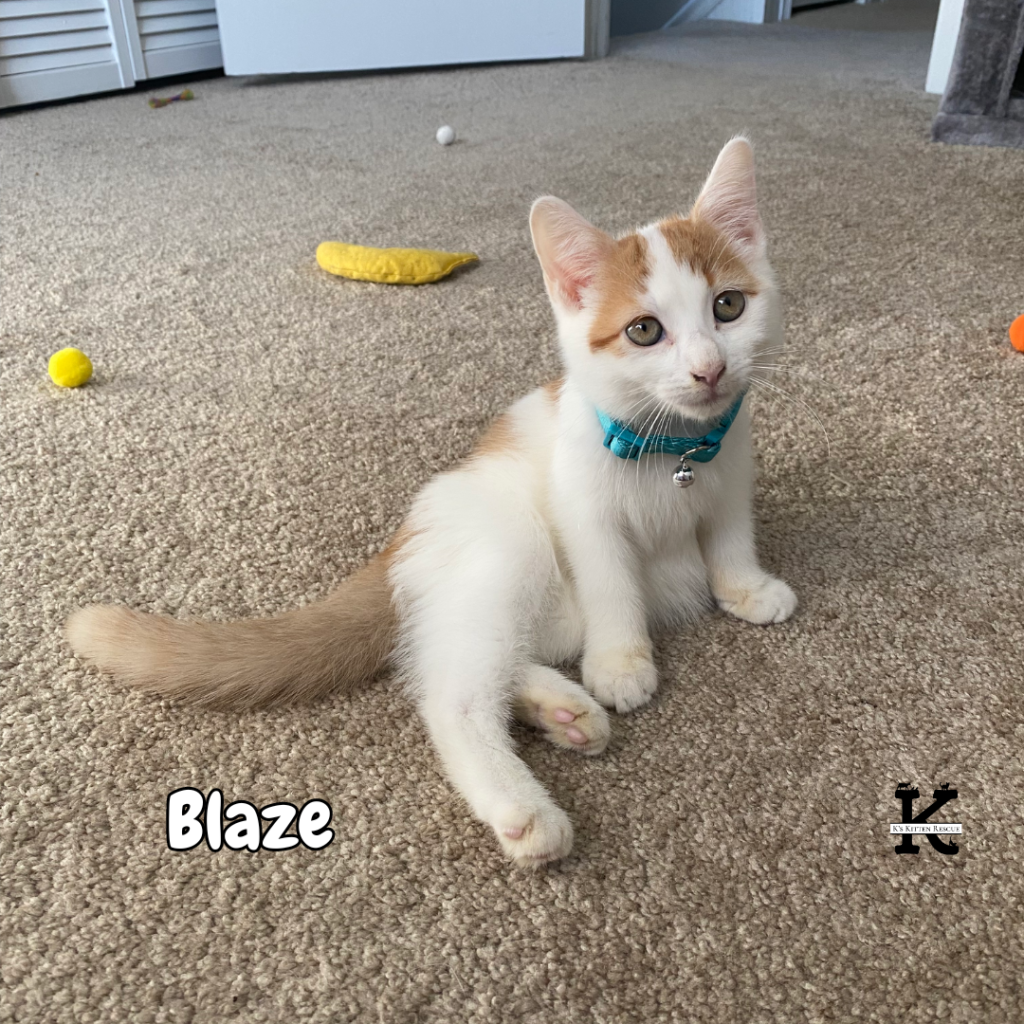 Blaze 1024x1024