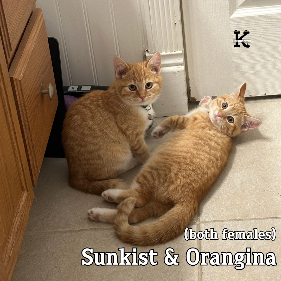 Sunkist and Orangina