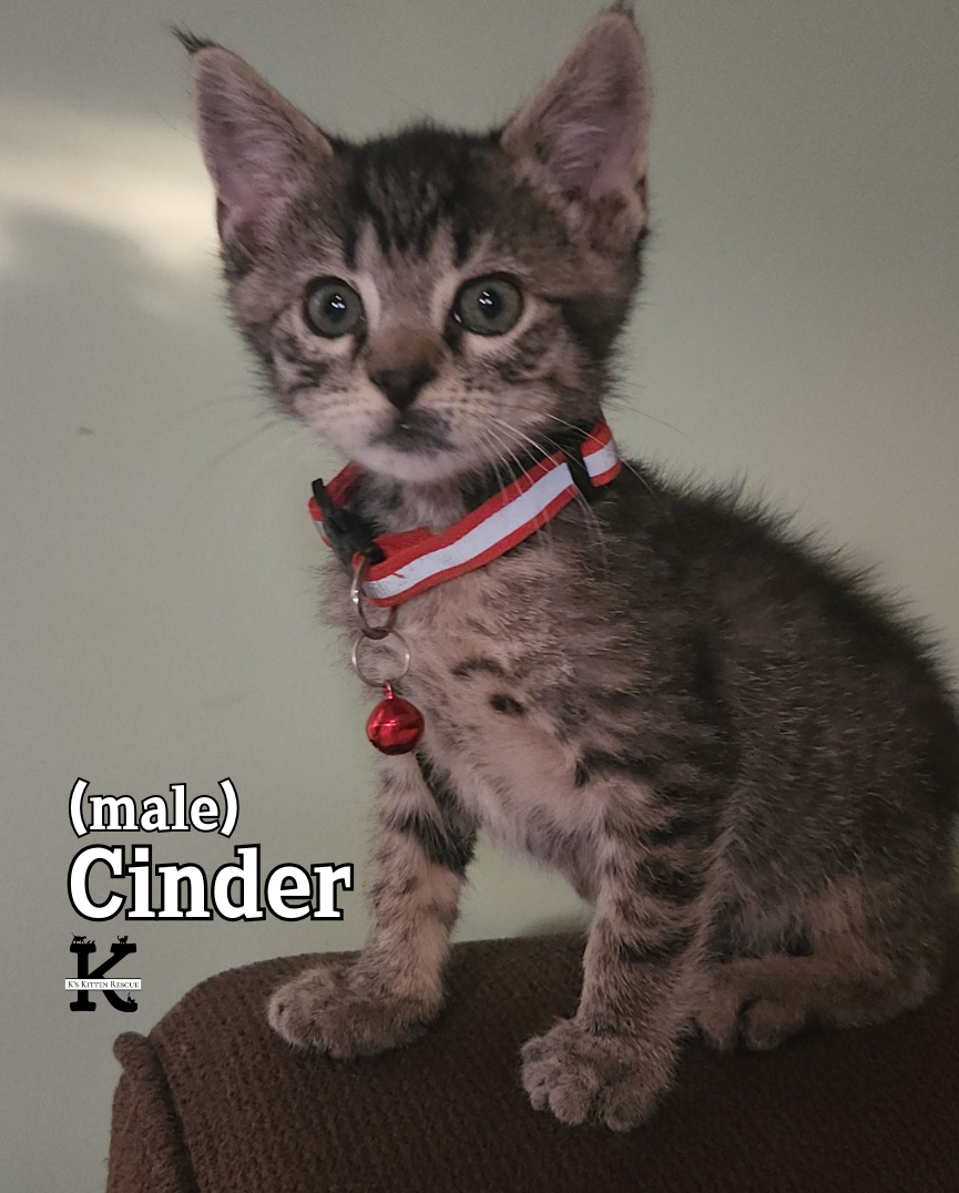 Cinder