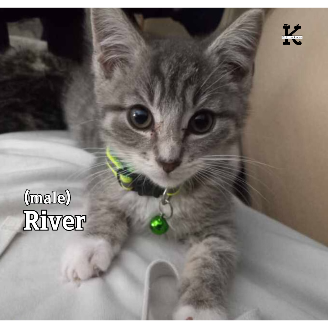 River