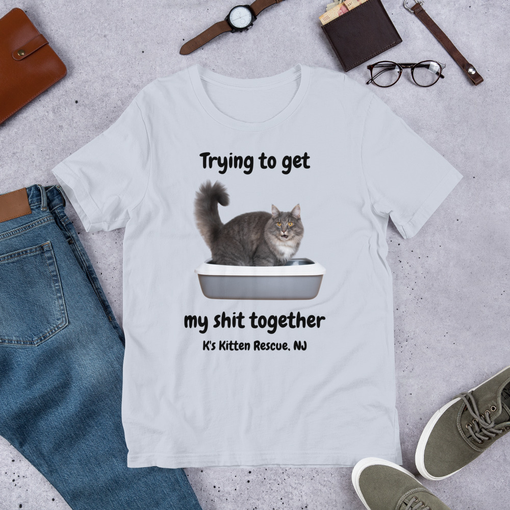 unisex-staple-t-shirt-light-blue-front-67778688c567f.jpg Trying To Get My Shit Together Unisex t-shirt - Image 6