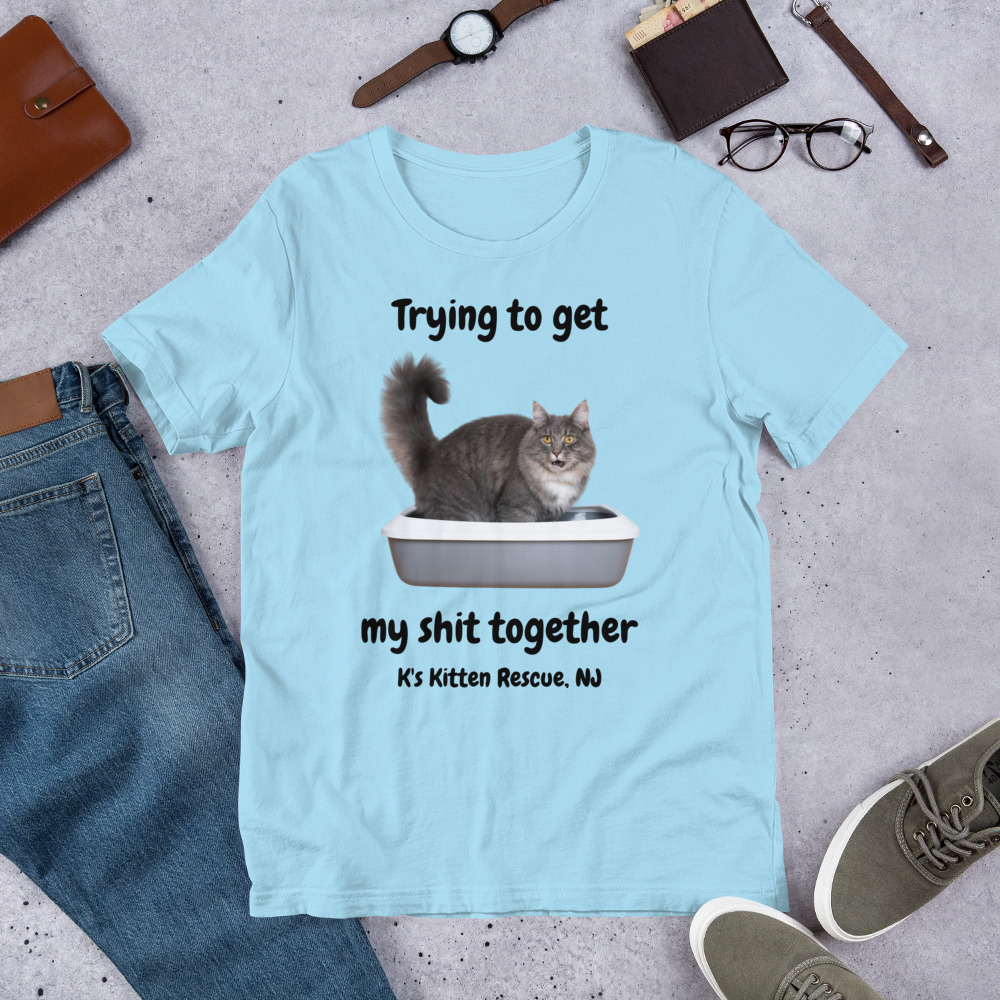 unisex-staple-t-shirt-ocean-blue-front-67778688ce981.jpg Trying To Get My Shit Together Unisex t-shirt - Image 7