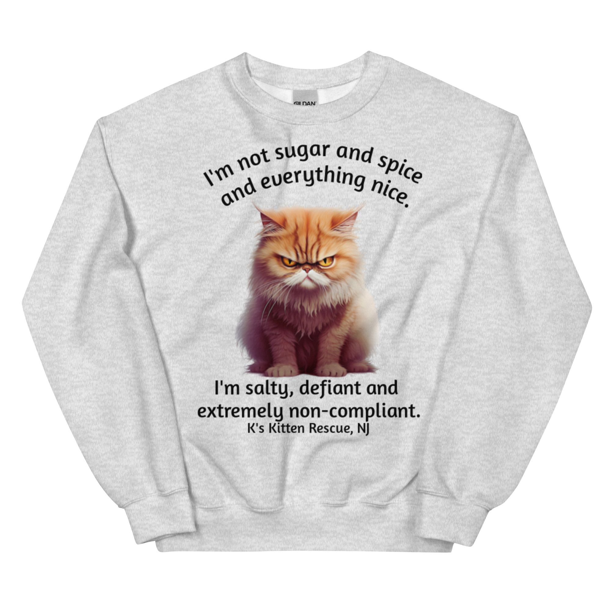 unisex-crew-neck-sweatshirt-ash-front-67c1563e62f31.jpg Not Sugar And Spice Unisex Sweatshirt - Image 9