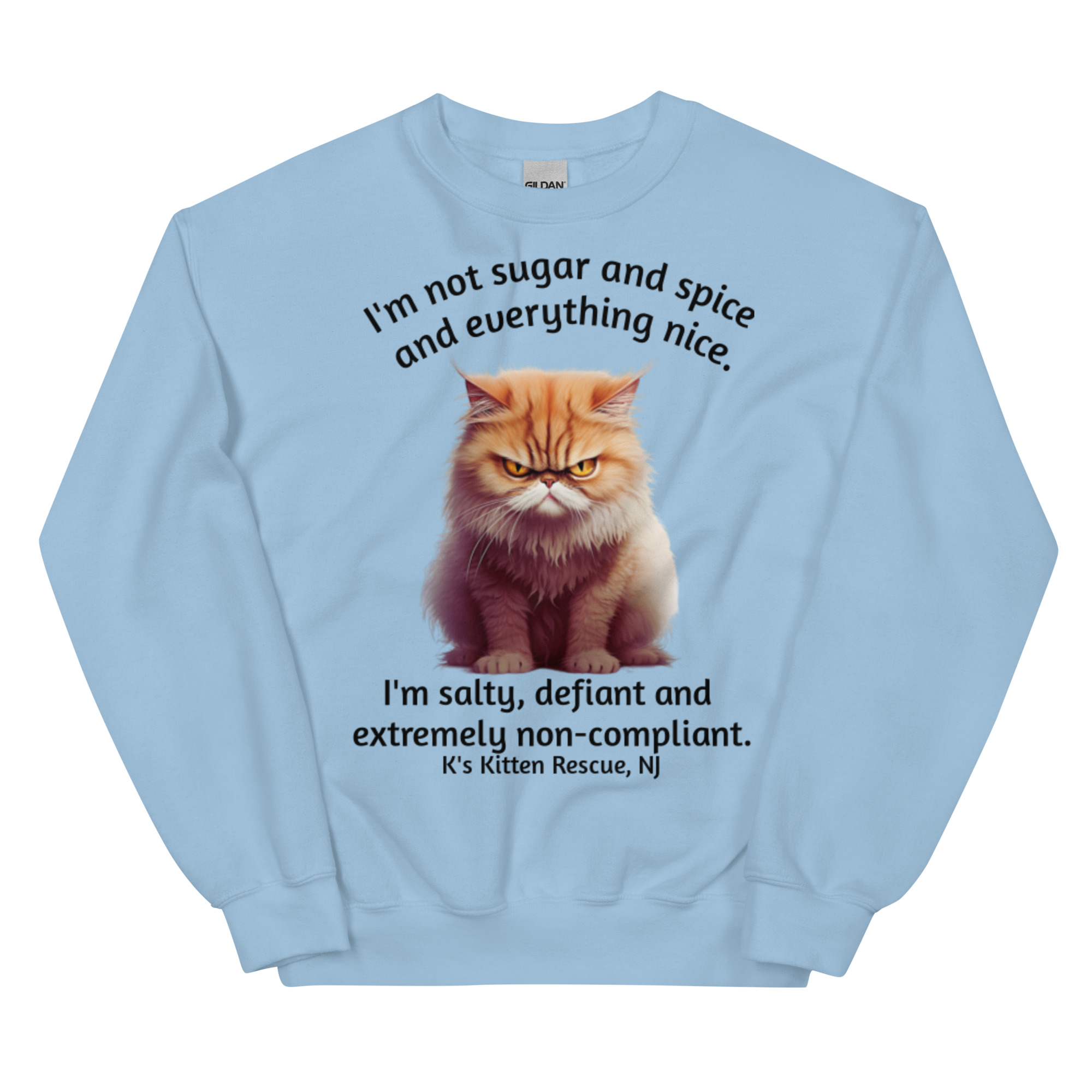 unisex-crew-neck-sweatshirt-light-blue-front-67c1563e484f9.jpg Not Sugar And Spice Unisex Sweatshirt - Image 6