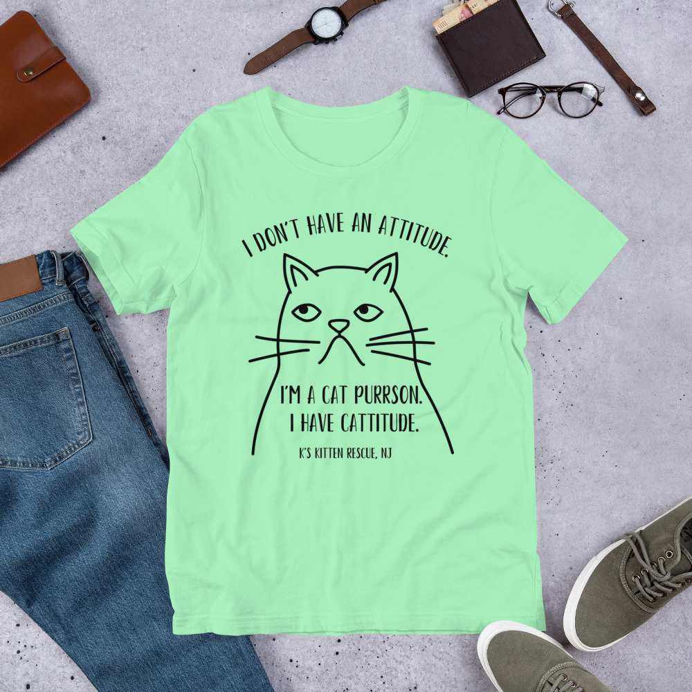unisex-staple-t-shirt-mint-front-67c004798a2eb.jpg Cattitude Unisex t-shirt - Image 11