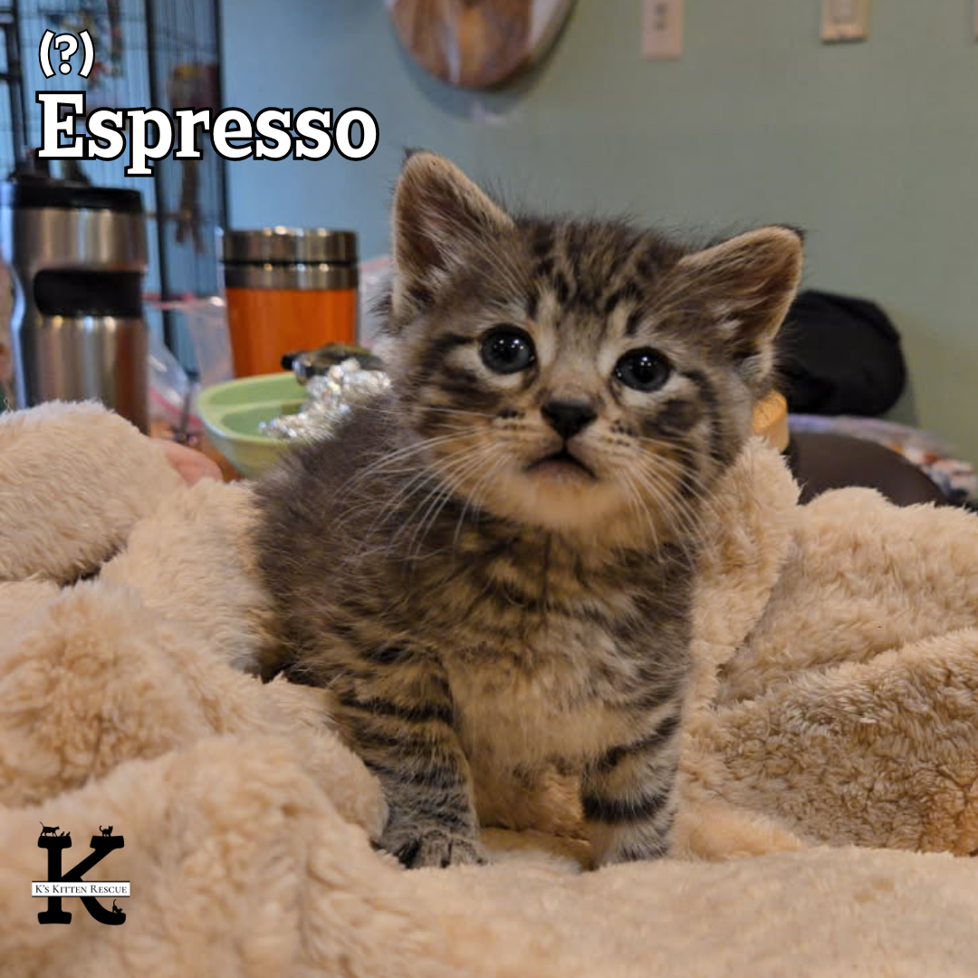Espresso