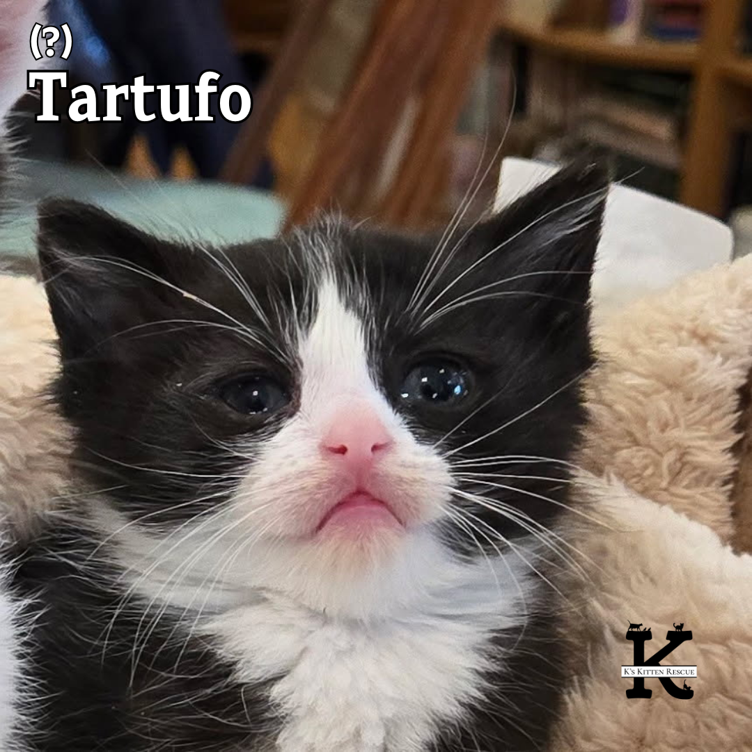 Tartufo
