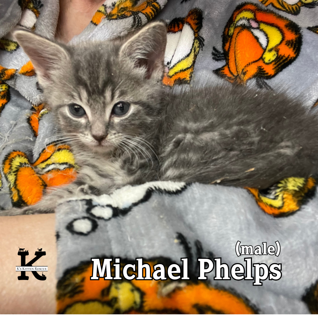 Michael Phelps