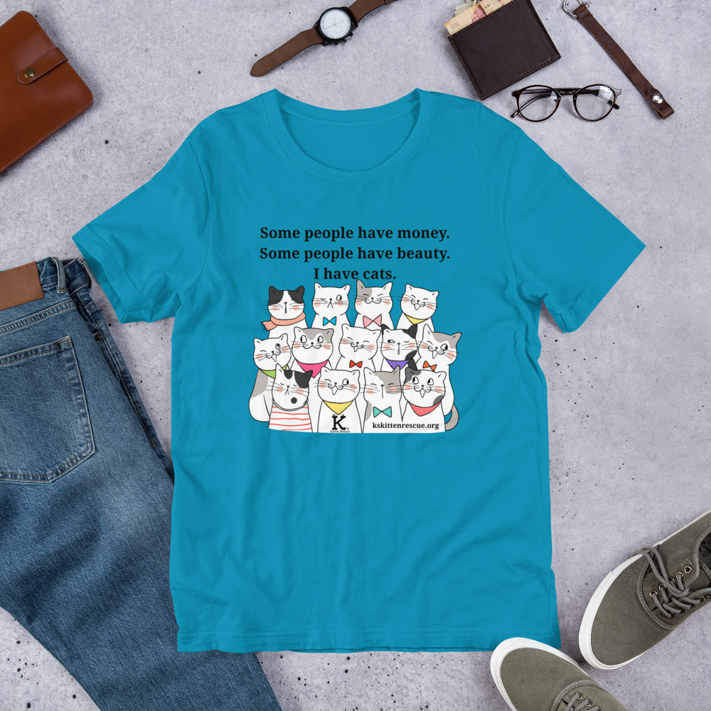unisex-staple-t-shirt-aqua-front-67ea0632c8935.jpg Money Beauty Cats Unisex t-shirt