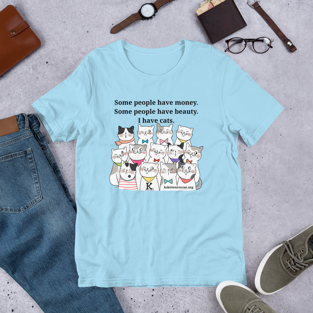 unisex-staple-t-shirt-ocean-blue-front-67ea06330ef78.jpg Money Beauty Cats Unisex t-shirt - Image 9
