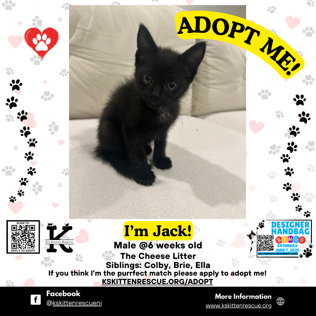 Jack