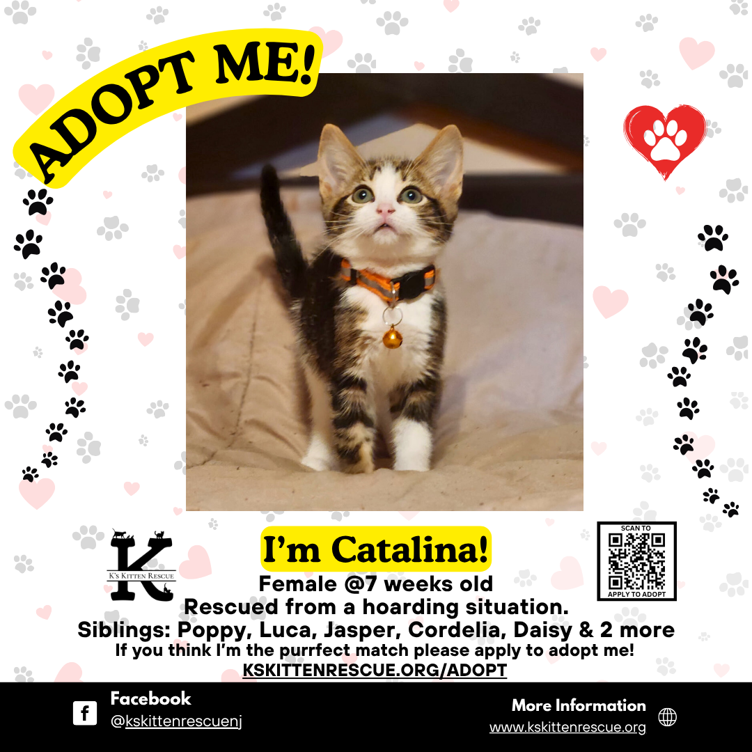 Catalina