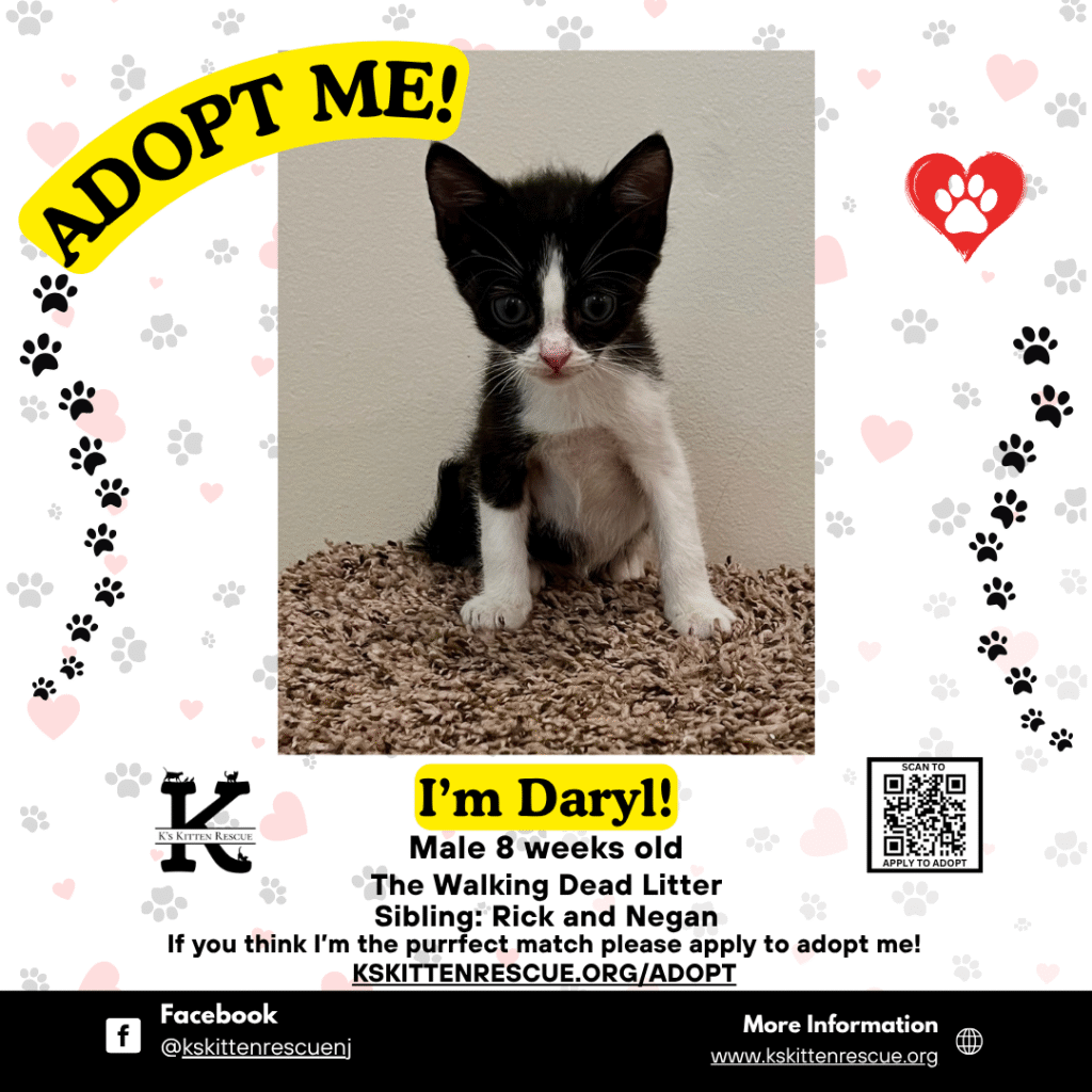 Daryl Daryl Adopt Me Social Media Listing 1024x1024