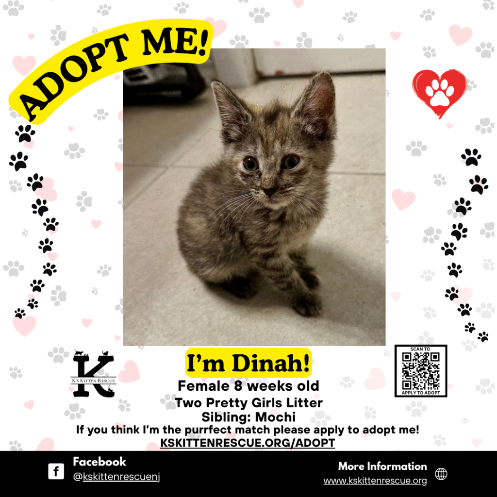 Dinah Dinah Adopt Me Social Media Listing 1024x1024
