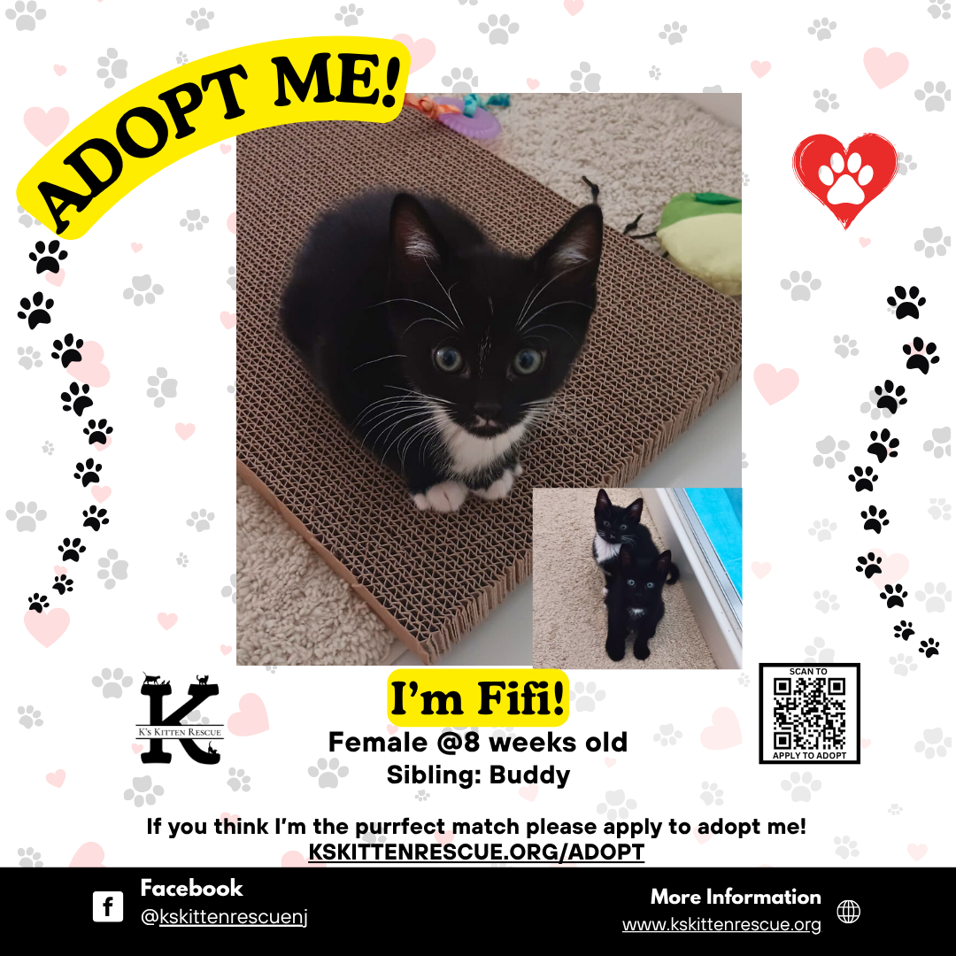 Fifi