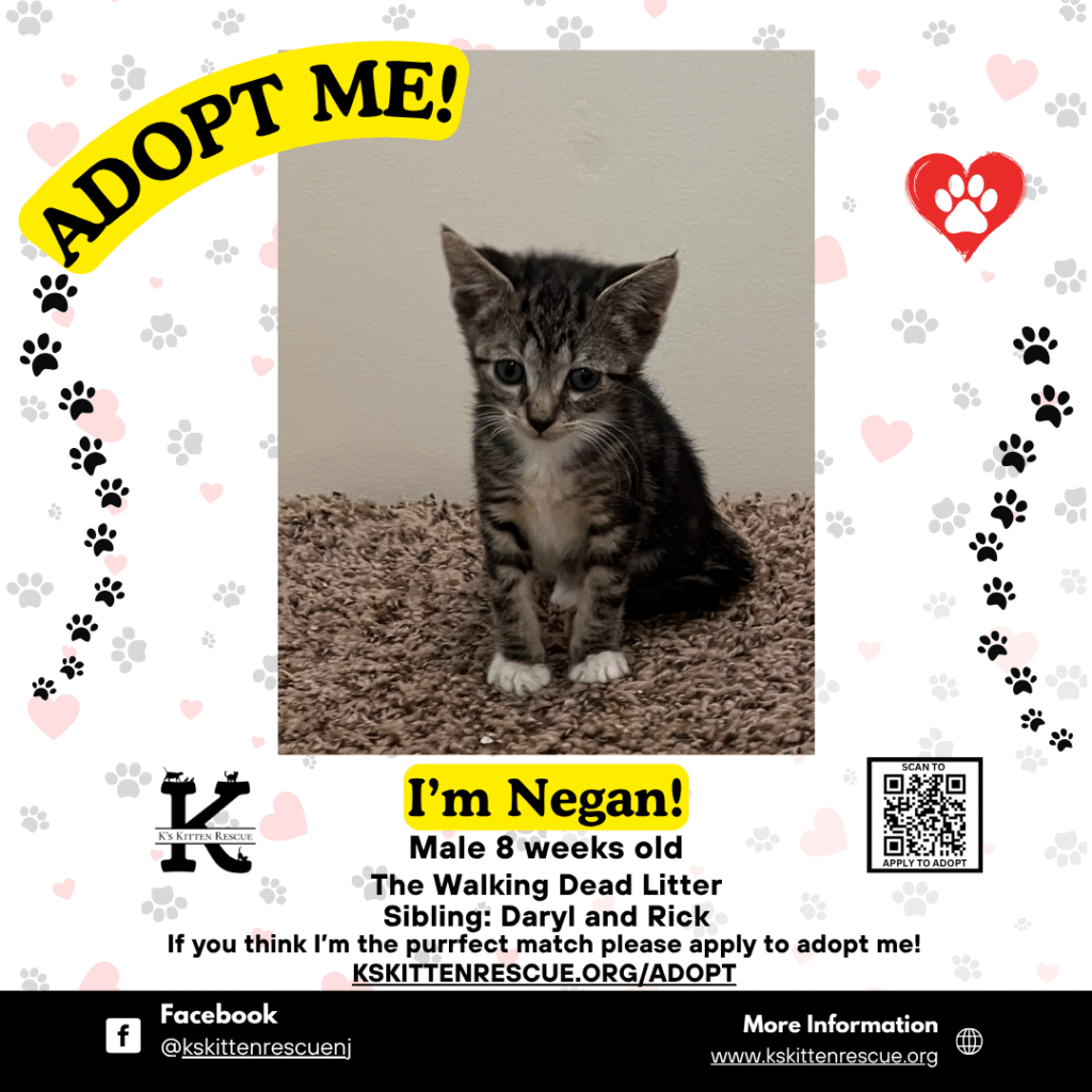 Negan Negan Adopt Me Social Media Listing 1024x1024